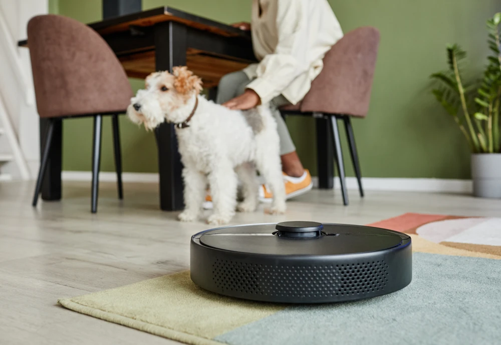 the best robotic vacuum cleaner